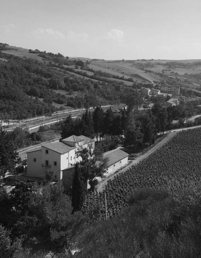 Tenuta Divino Roberto